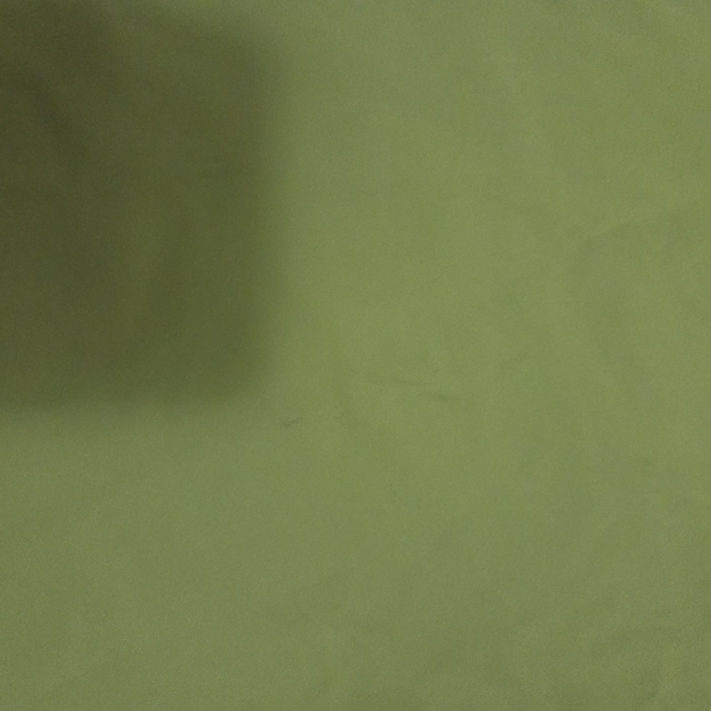 J. Crew Vibrant Lime Scalloped Camisole 8 - Picture 9 of 9